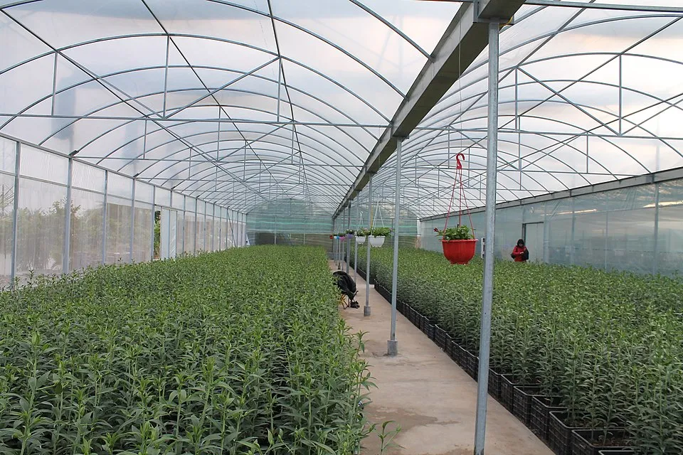 Pantalla de sombreo sobre un cultivo