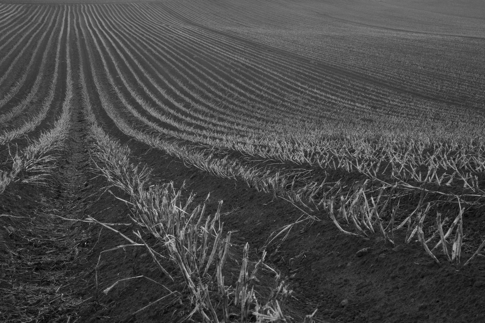 Appel- en perentuilen in de Betuwe met duurzaam AGROPET-monofilament