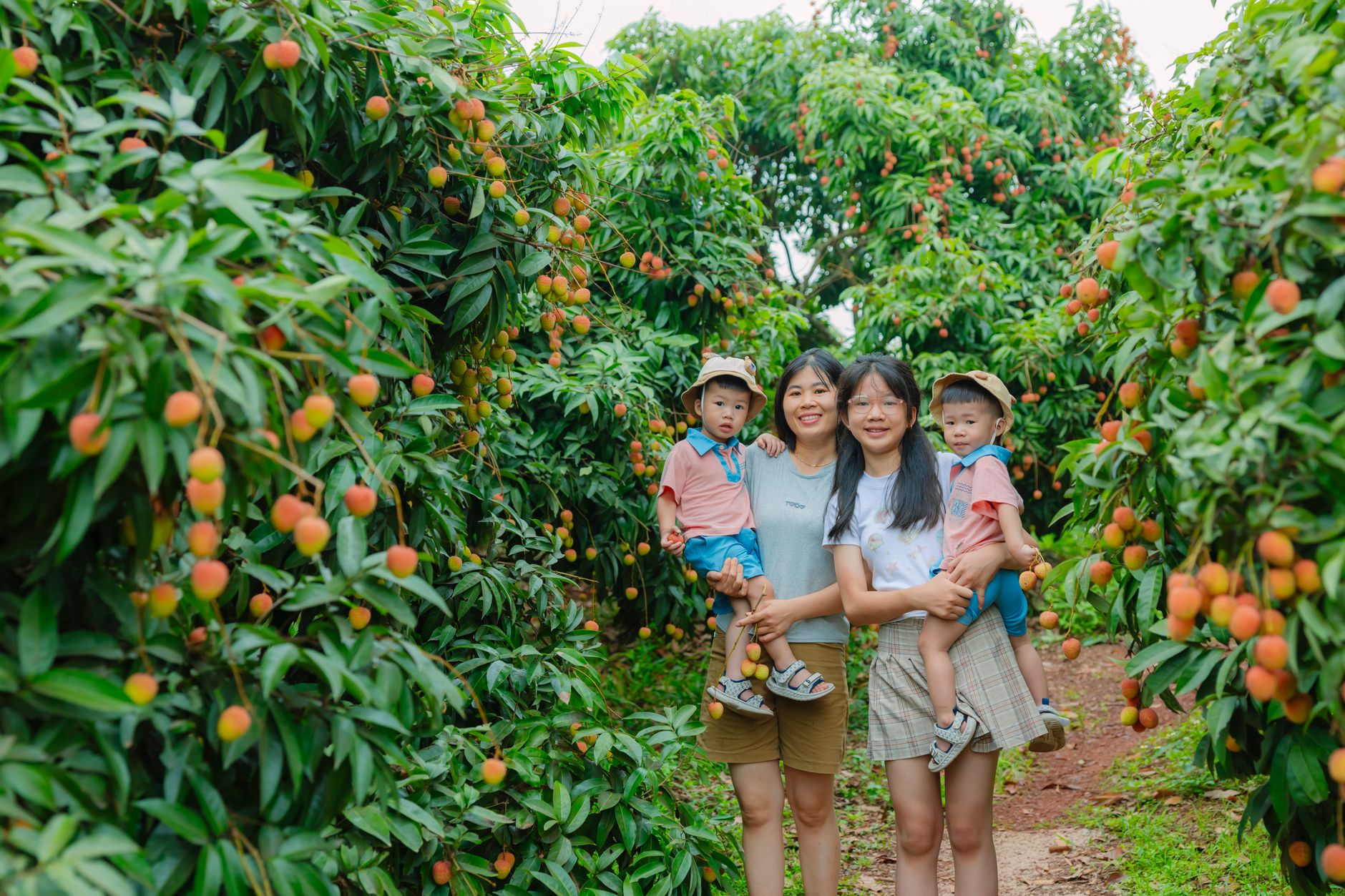 Plantación de banano en Urabá con tecnología AGROPET