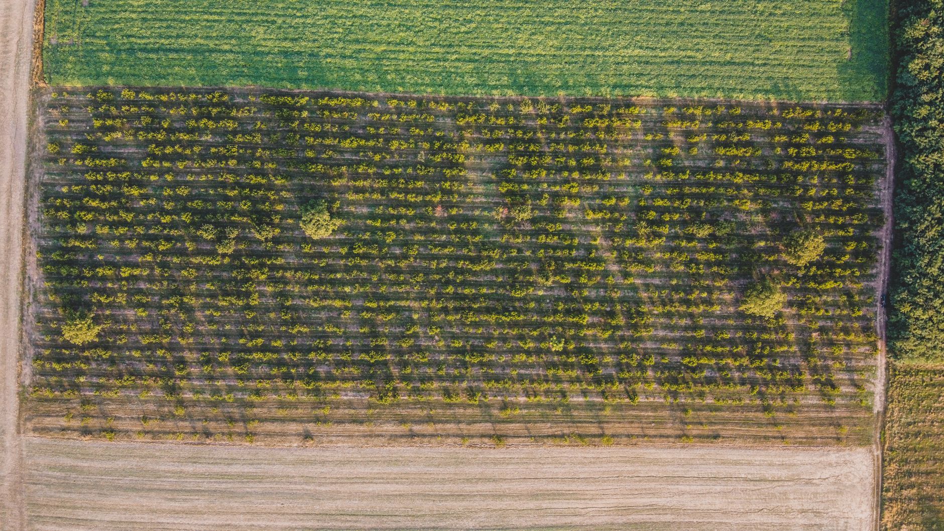 Полиэстеровый трос AGROPET® на антенне в Краснодарском крае, обеспечивая безопасность и надежность.