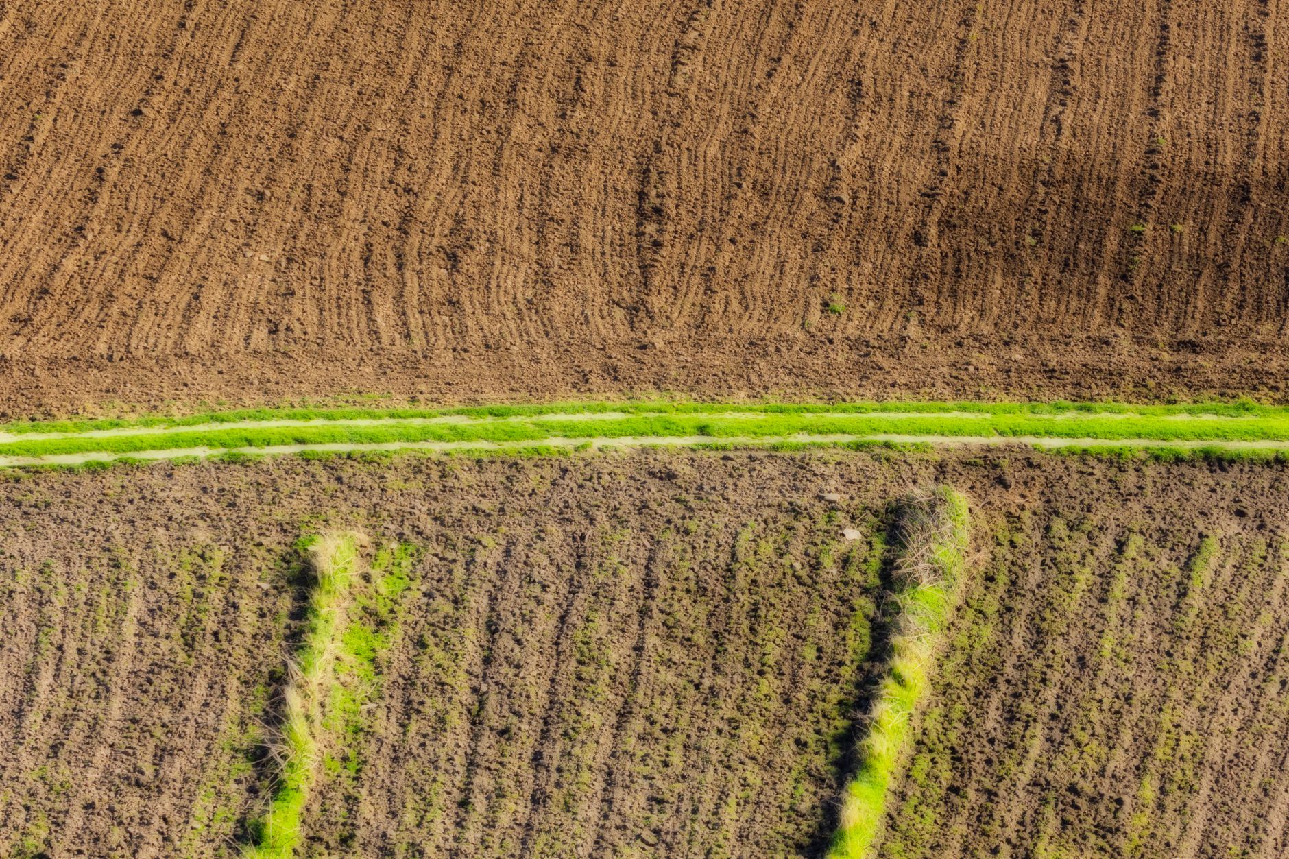 Kas in Aalsmeer met AGROPET Steundraad voor duurzame teelt