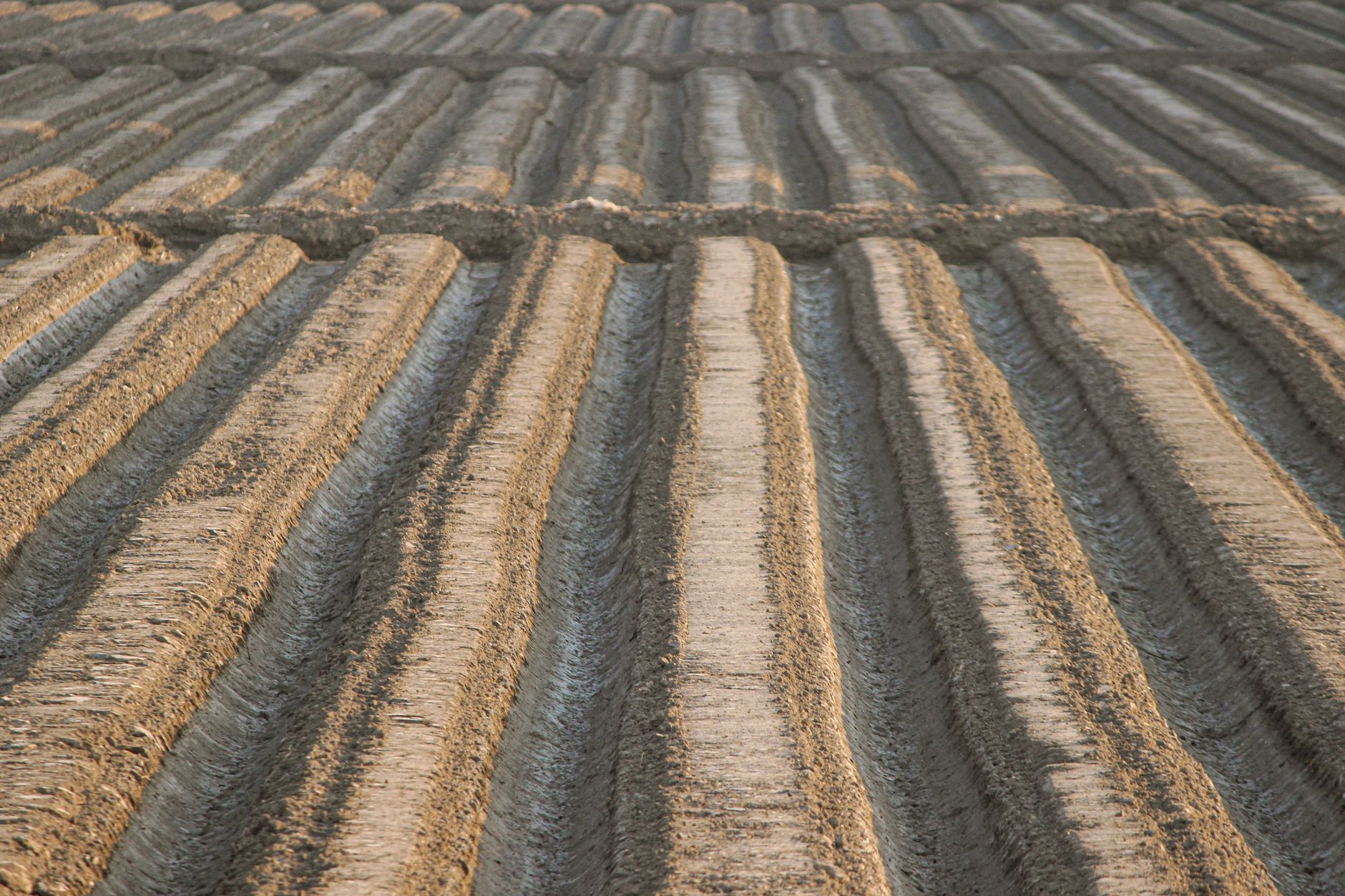 Інноваційна шпалера для виноградників з AGROPET у Закарпатті