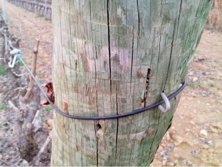 Cable AGROPET tensado entre postes, como cable de viento