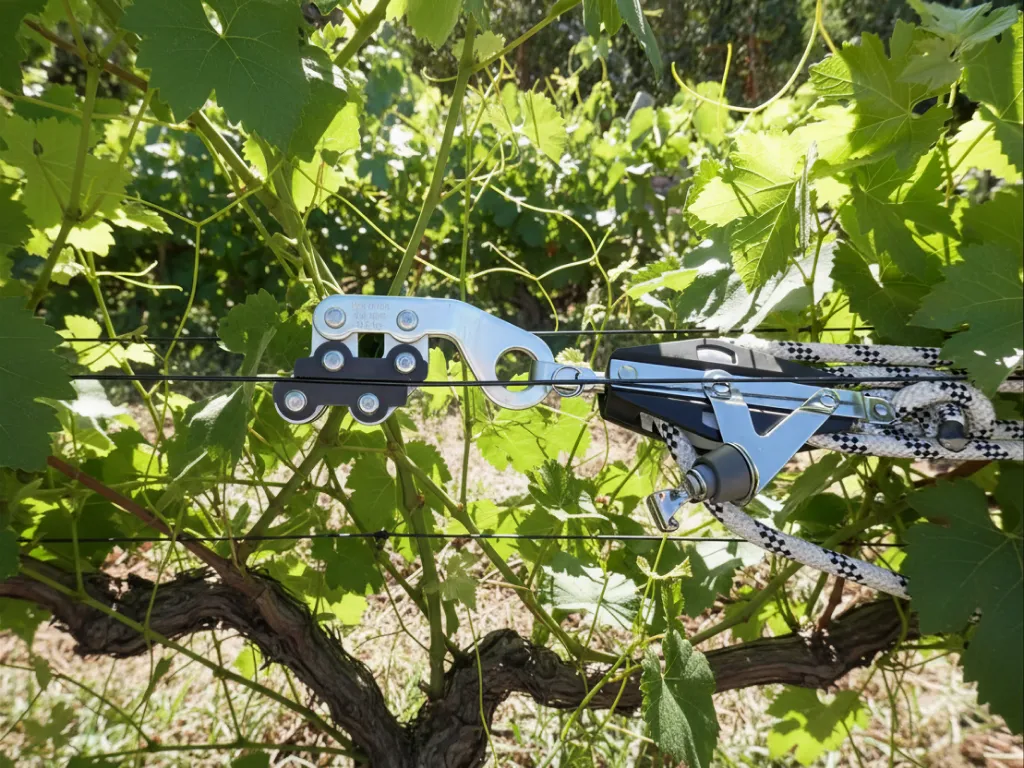 Spanner und Gripple auf einem gespannten AGROPET-Kabel im Weinberg